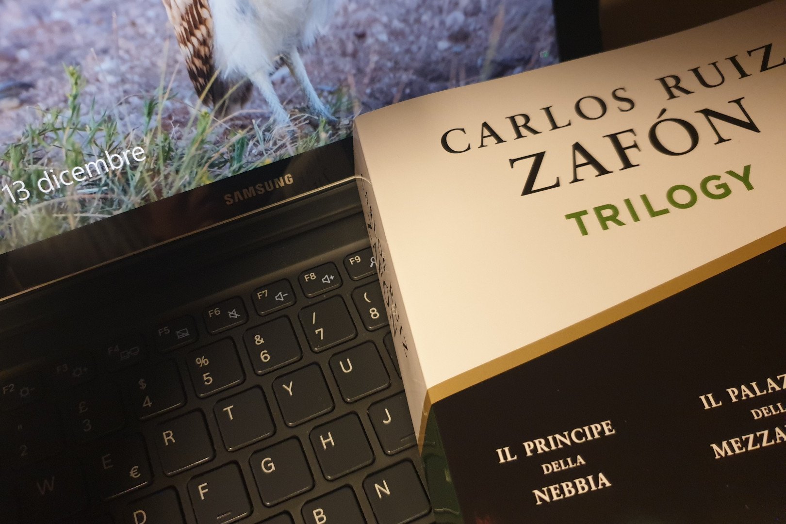 Il volume che raccoglie la trilogia di Carlos Ruiz Zafón